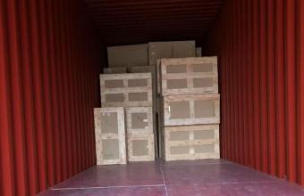 福建运输到美国西雅图港-美国海运货代集装箱运输
